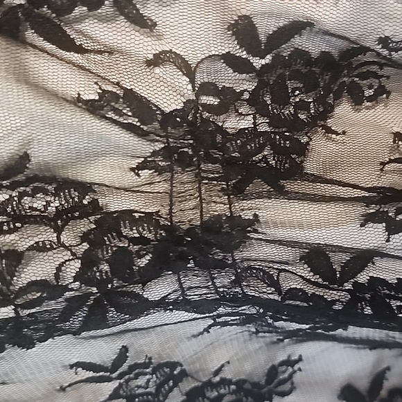 Beautiful Lane Bryant Top - Picture 5 of 5